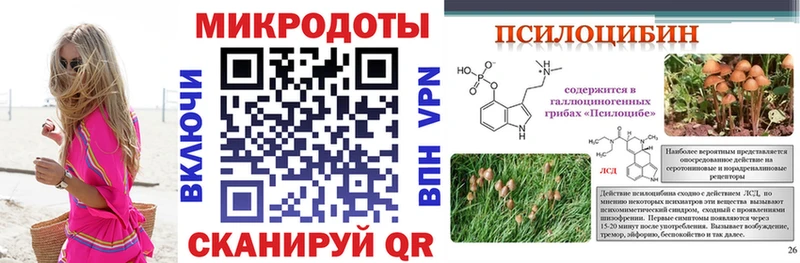 Псилоцибиновые грибы Psilocybine cubensis  Болохово 