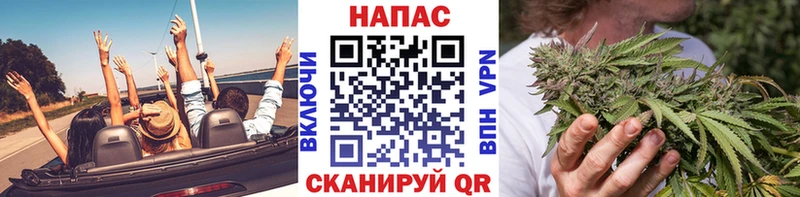 где найти наркотики  Болохово  МАРИХУАНА конопля 